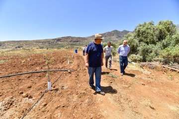 Plantación de 4.400 almendreros, nogales, higueras y olivos en Valsequillo (Foto TA)
